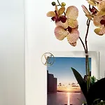 Aurora View - Boutique 5*